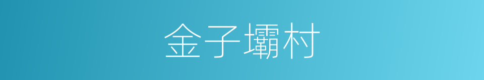 金子壩村的同義詞
