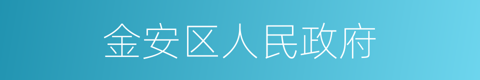 金安区人民政府的同义词