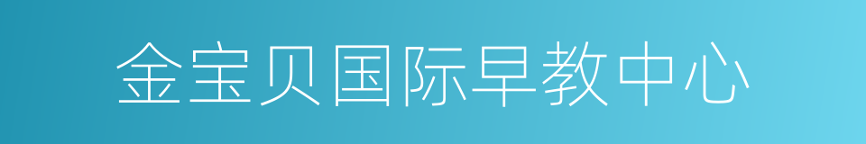 金宝贝国际早教中心的同义词