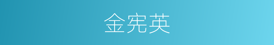 金宪英的同义词