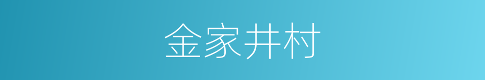 金家井村的同义词