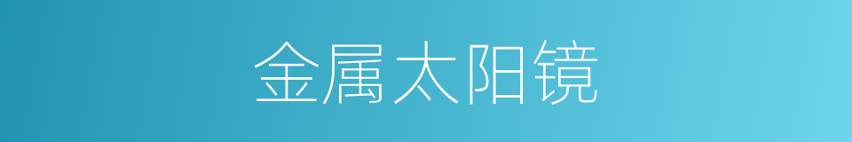 金属太阳镜的同义词