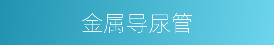 金属导尿管的同义词