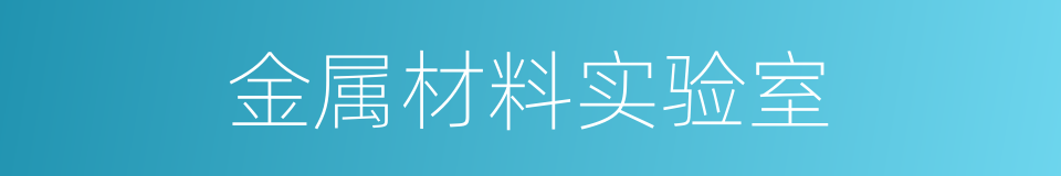 金属材料实验室的同义词