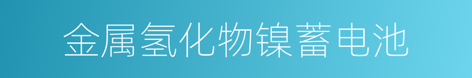 金属氢化物镍蓄电池的同义词