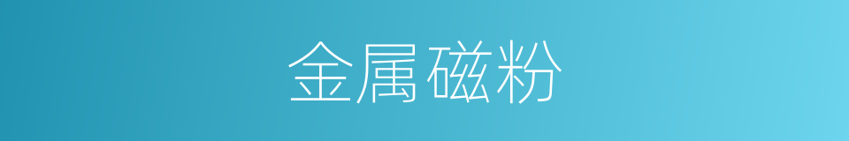 金属磁粉的同义词