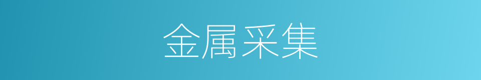 金属采集的同义词