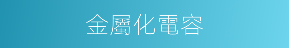 金屬化電容的同義詞