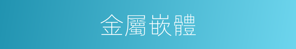 金屬嵌體的同義詞