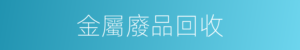 金屬廢品回收的同義詞
