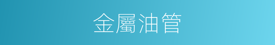 金屬油管的同義詞