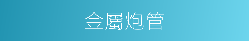 金屬炮管的同義詞