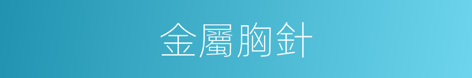 金屬胸針的同義詞