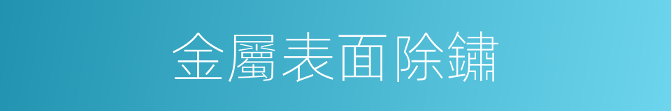 金屬表面除鏽的同義詞