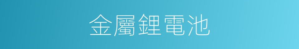 金屬鋰電池的同義詞