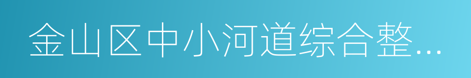 金山区中小河道综合整治工作方案的同义词