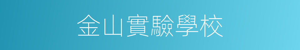 金山實驗學校的同義詞