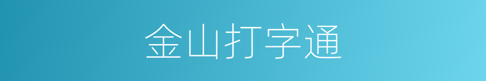 金山打字通的同义词