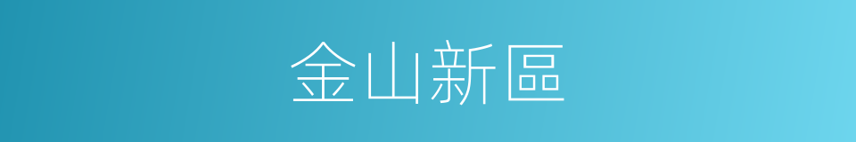 金山新區的同義詞
