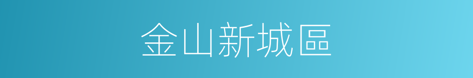 金山新城區的同義詞