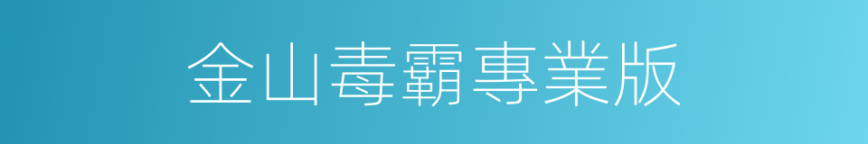 金山毒霸專業版的同義詞