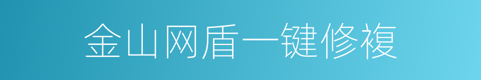 金山网盾一键修複的同义词