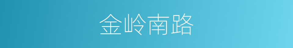 金岭南路的同义词
