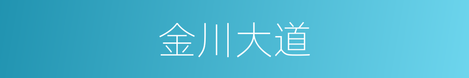 金川大道的同义词