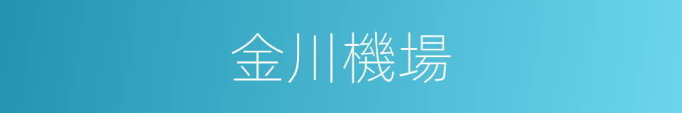 金川機場的同義詞