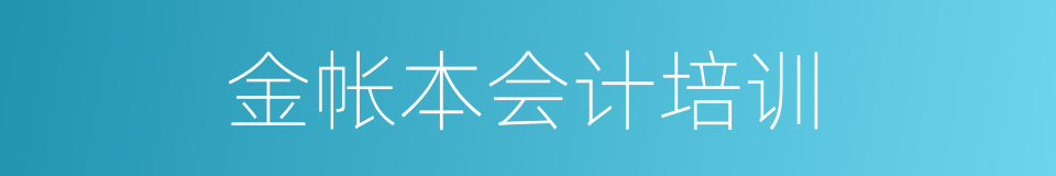 金帐本会计培训的同义词