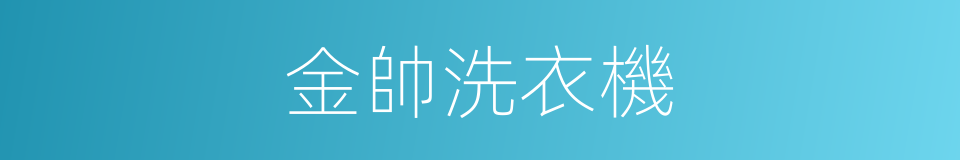 金帥洗衣機的同義詞