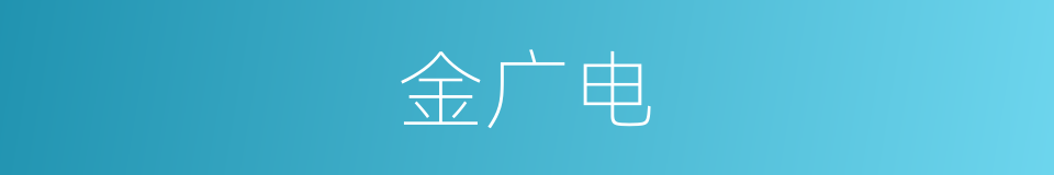 金广电的同义词