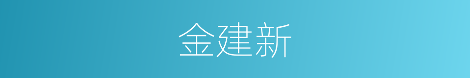 金建新的同义词