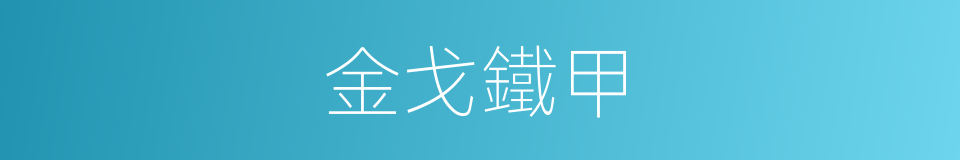 金戈鐵甲的意思
