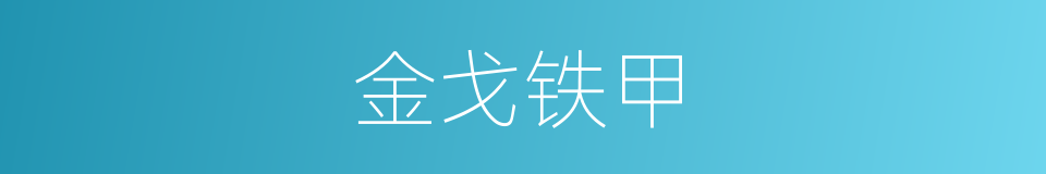 金戈铁甲的意思