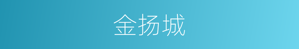 金扬城的同义词