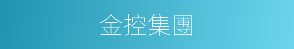 金控集團的同義詞