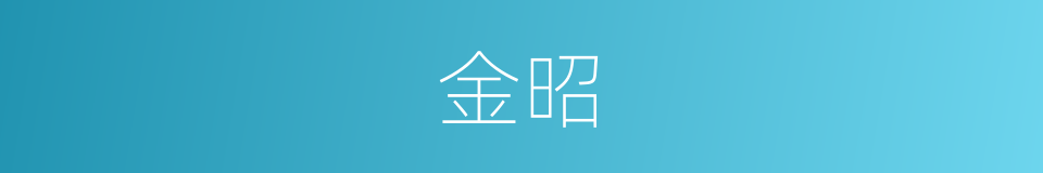 金昭的同义词