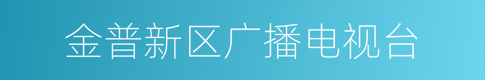 金普新区广播电视台的同义词