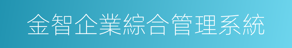 金智企業綜合管理系統的同義詞