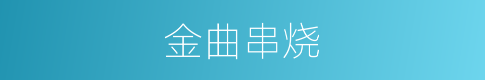 金曲串烧的同义词