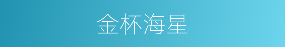金杯海星的同义词