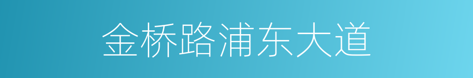 金桥路浦东大道的同义词