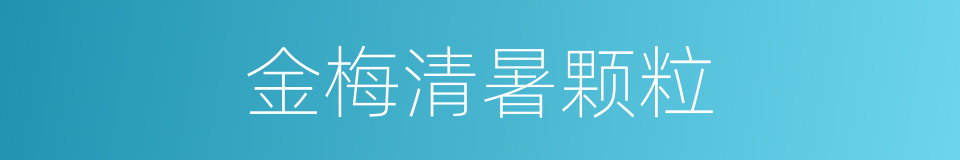 金梅清暑颗粒的同义词