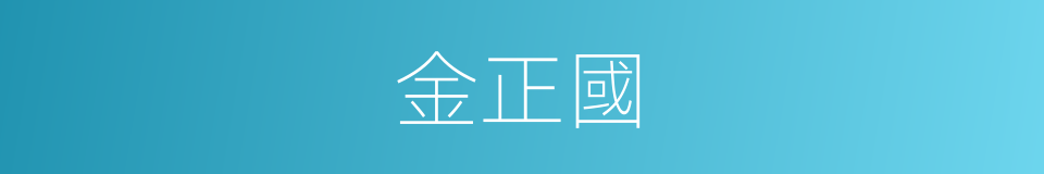 金正國的意思