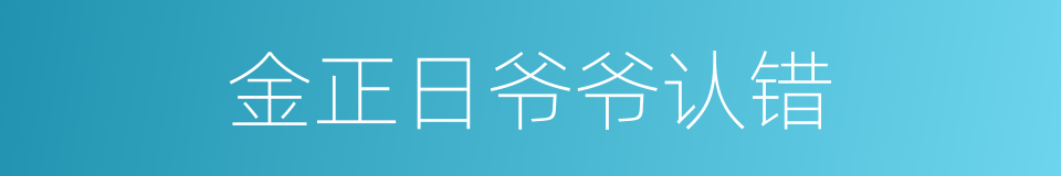 金正日爷爷认错的同义词