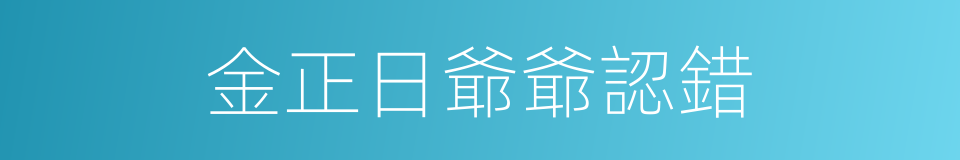 金正日爺爺認錯的同義詞