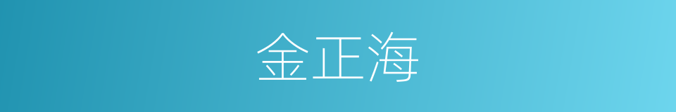金正海的同义词
