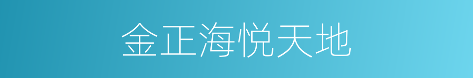 金正海悦天地的同义词