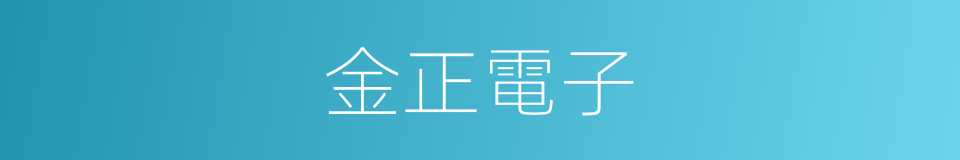 金正電子的同義詞